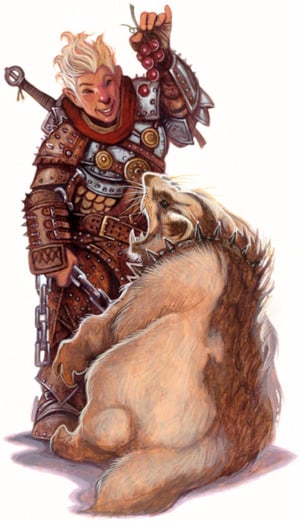 DWS2026 Kuratoriumszunft Leitung 1 und 2 Ehrengard